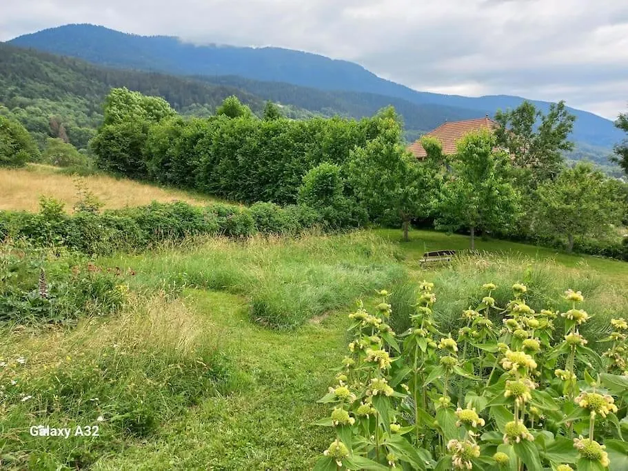 Belle Maison Au Coeur Des Alpes Pinet  别墅